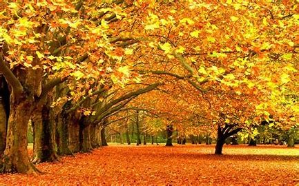 October Newsletter